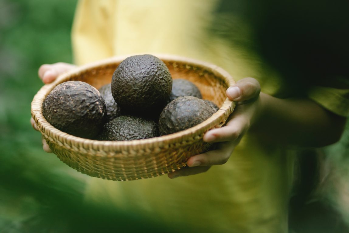 The Avocado Nutrition Facts and Health Benefits